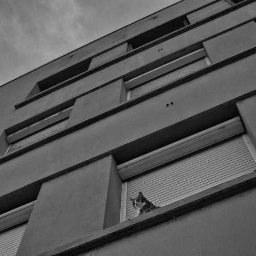 Photo #13904832