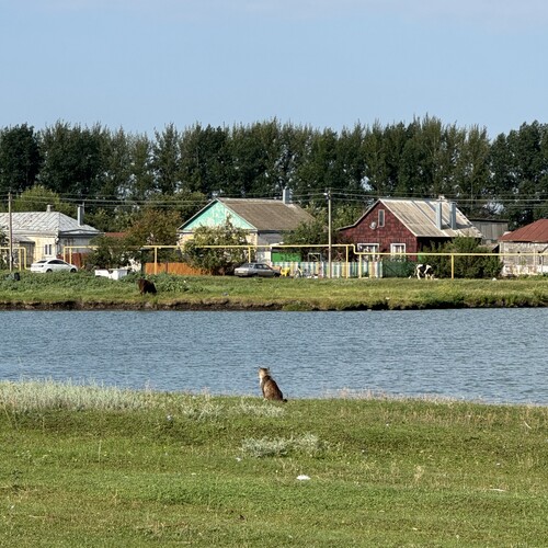 Photo #13904845