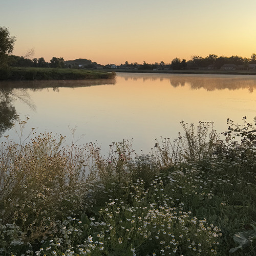Photo #13904846