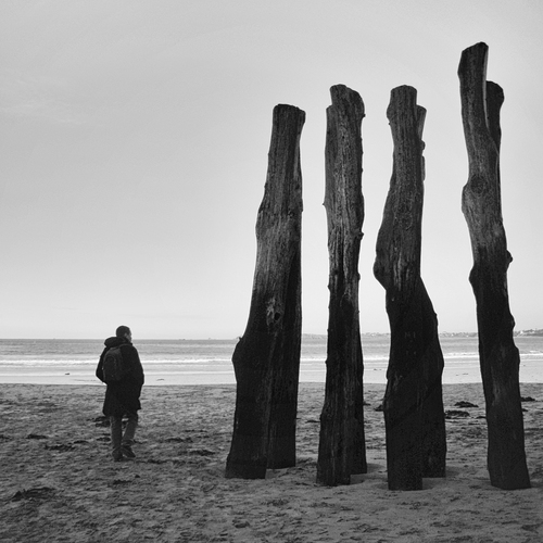 Photo #13904849