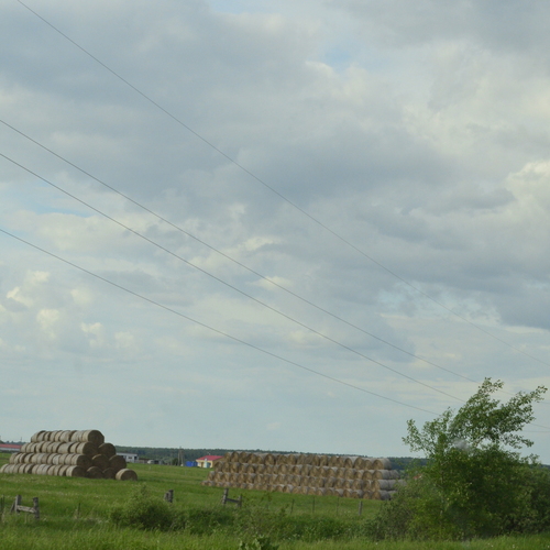 Photo #13904857