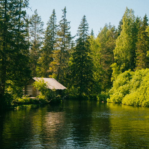 Photo #13904873