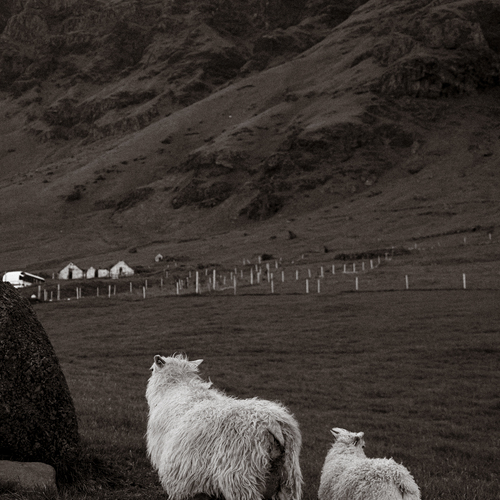 Photo #13904879