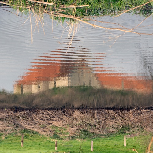 Photo #13904882