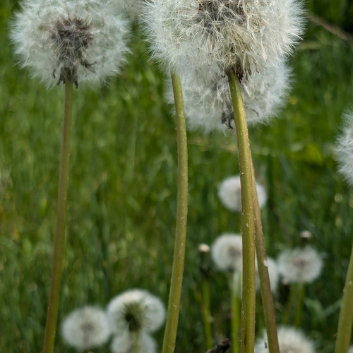 Photo #13904926