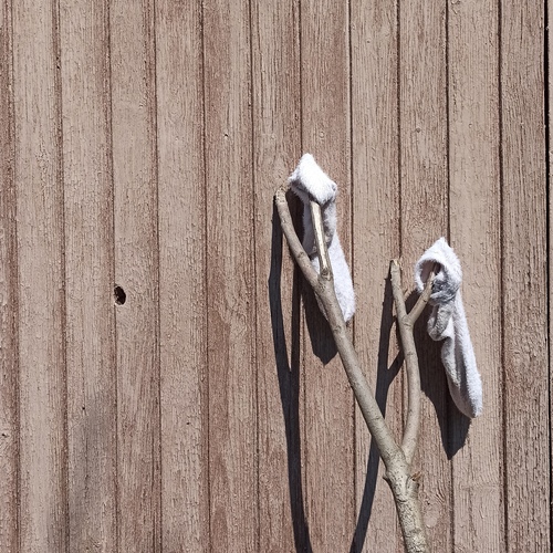 Photo #13904971