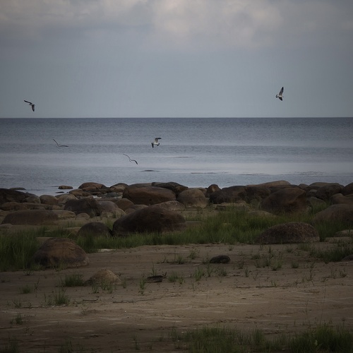 Photo #13905009