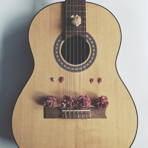 Photo #13905028