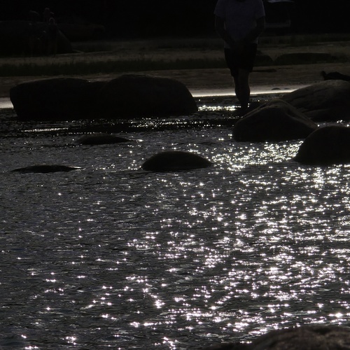 Photo #13905068