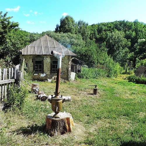 Photo #13905079