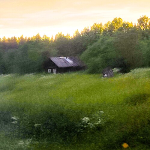 Photo #13905168