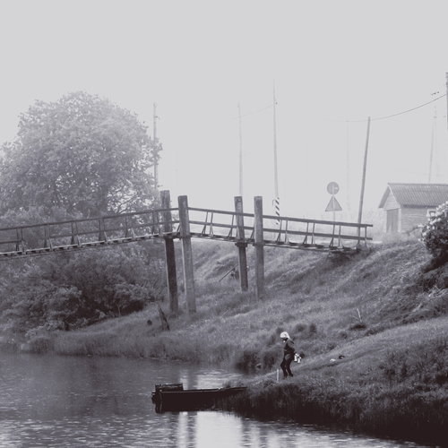 Photo #13905259