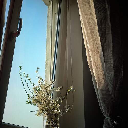 Photo #13905307