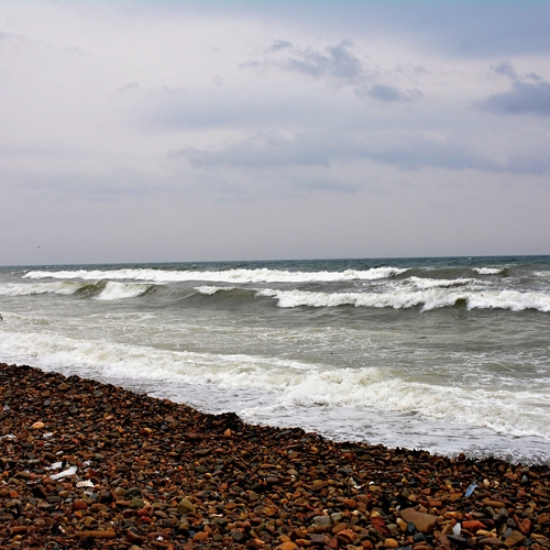 Photo #13905310