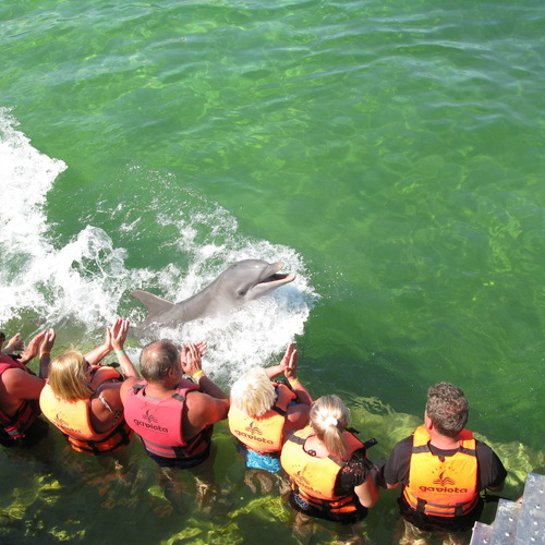 Photo #13905329