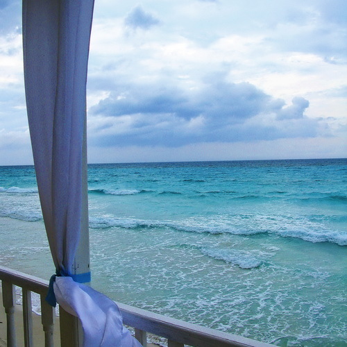 Photo #13905334