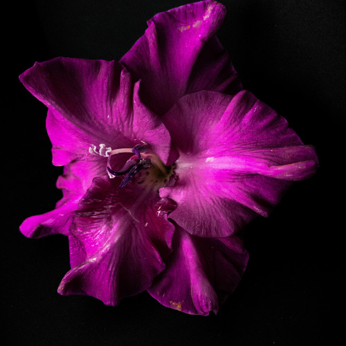 Фотография #13905413