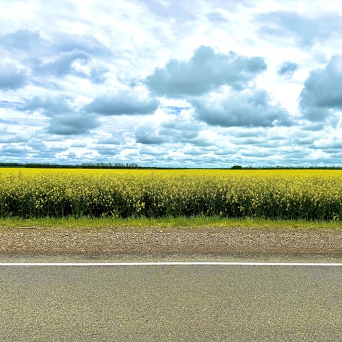 Photo #13905476