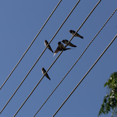 Photo #13905489