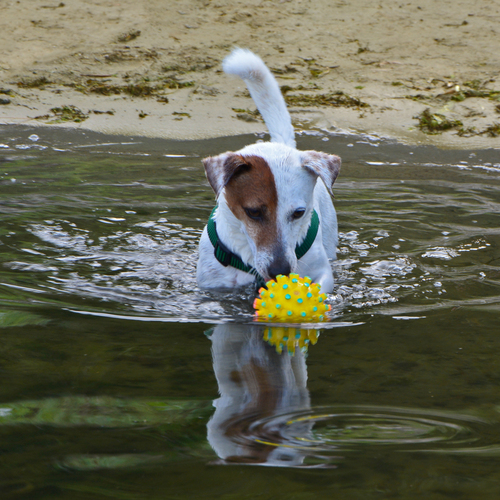 Photo #13905506