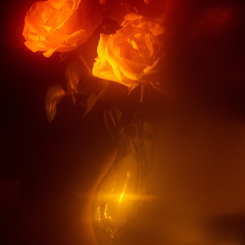 Photo #13905530