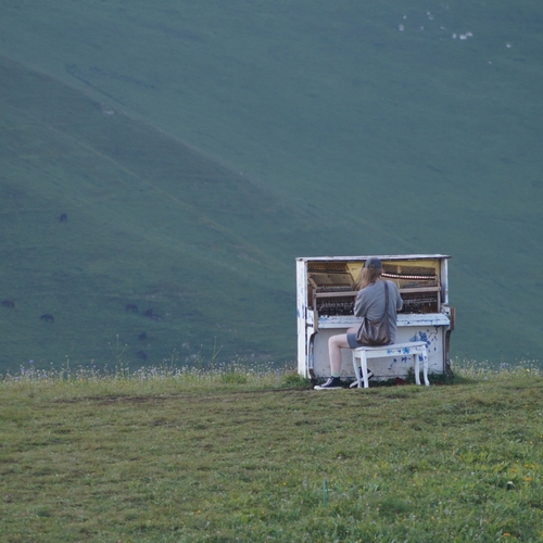 Photo #13905575