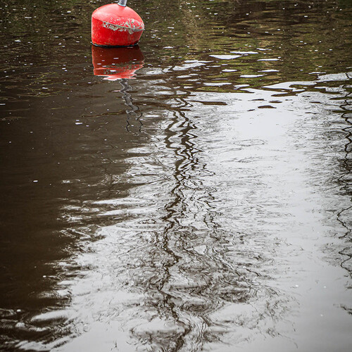 Photo #13905617