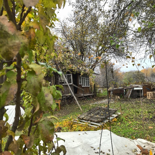 Photo #13905642