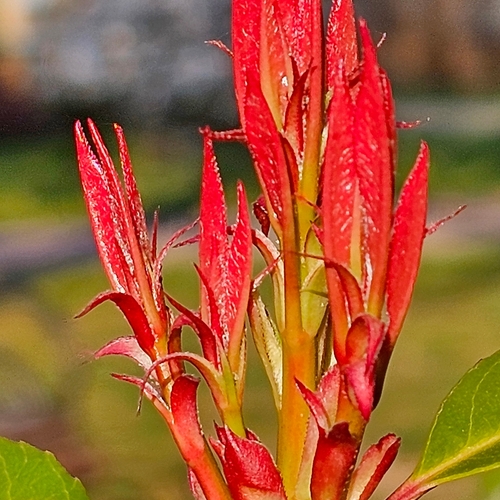 Photo #13905645
