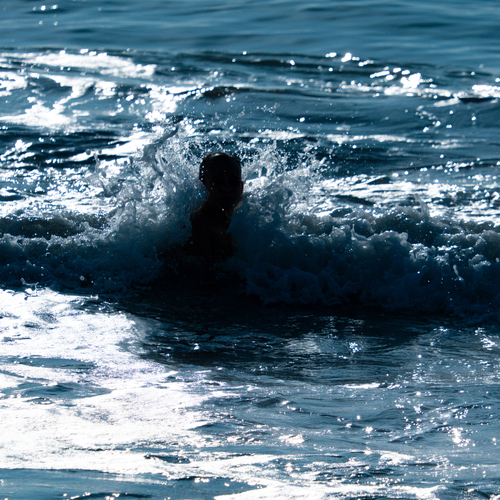 Photo #13905689