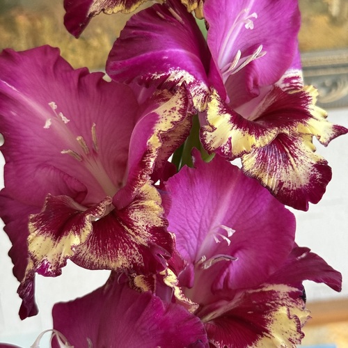 Photo #13905723