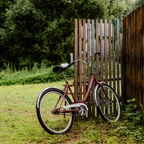 Photo #13905729