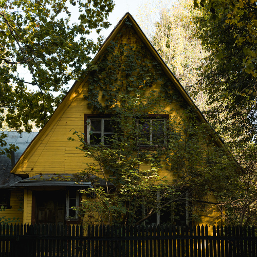 Photo #13905732
