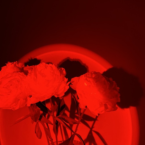 Photo #13905757