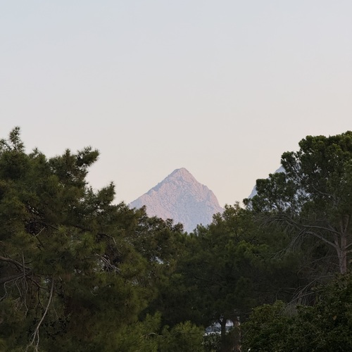 Photo #13905760