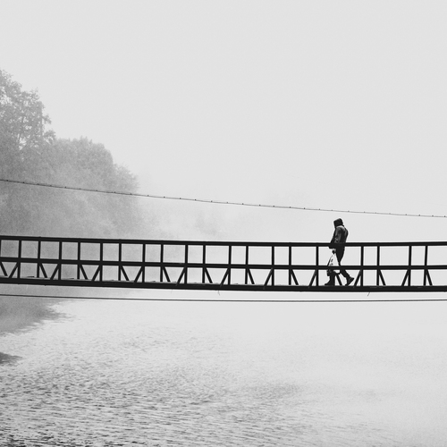 Photo #13905923