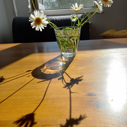 Photo #13905944