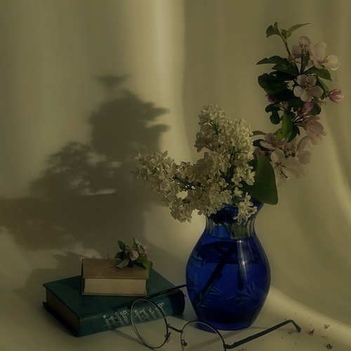 Photo #13905951