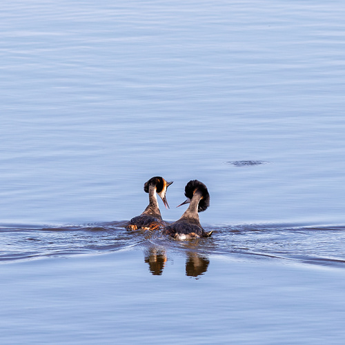 Photo #13905959