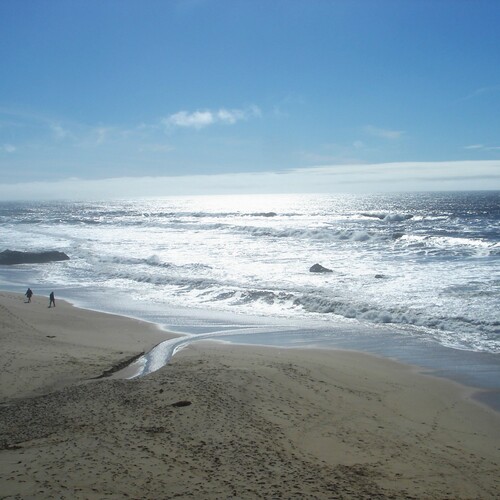 Photo #13906025