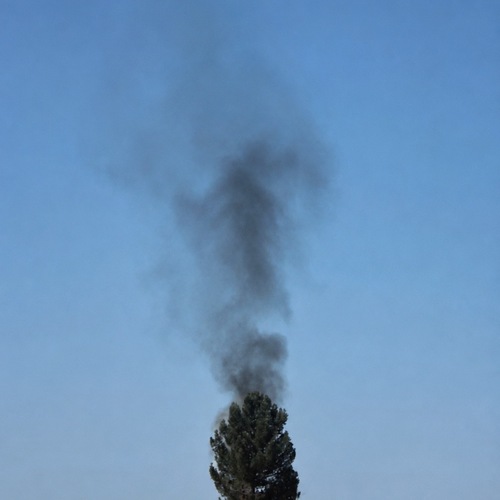 Photo #13906034