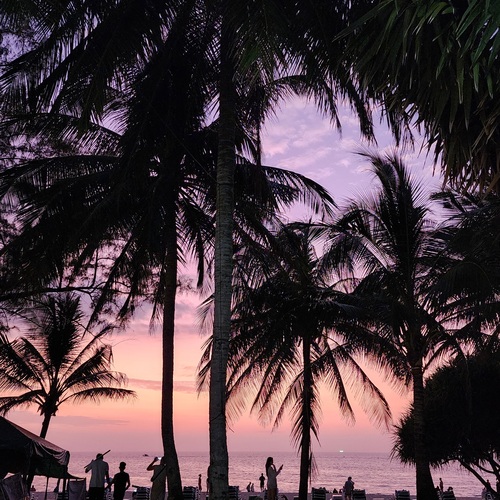 Photo #13906239