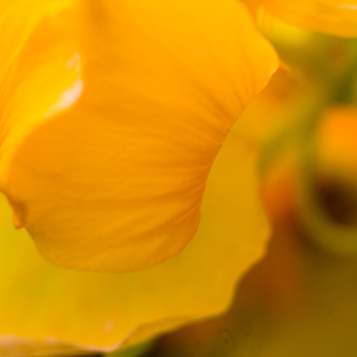Photo #13906258