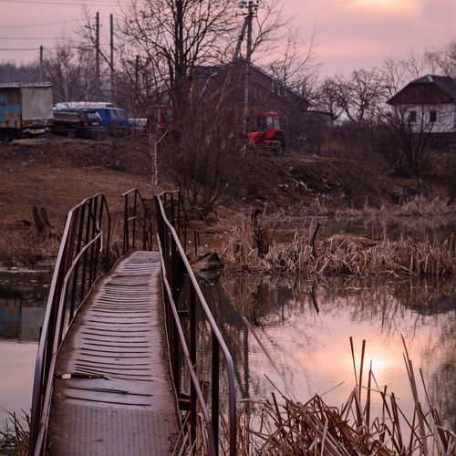 Photo #13906259