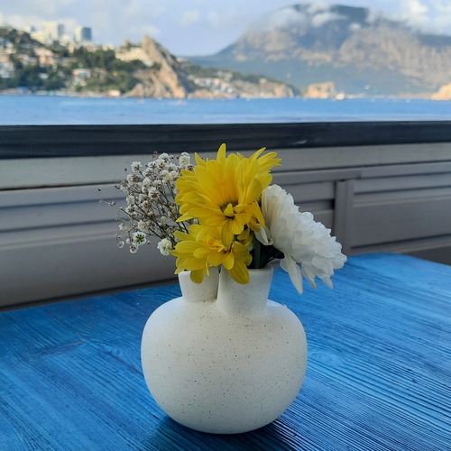 Photo #13906327
