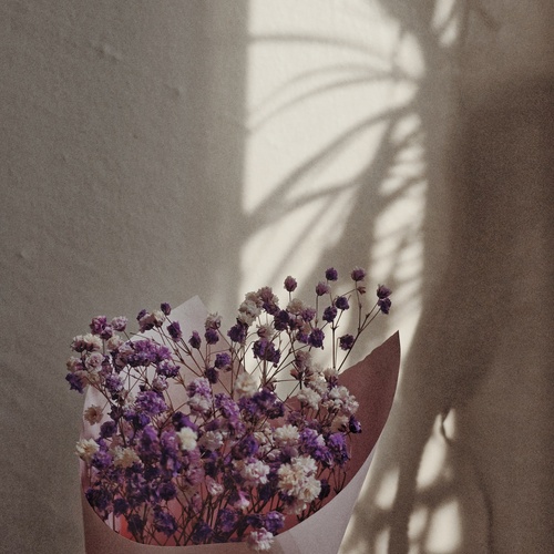 Photo #13906346