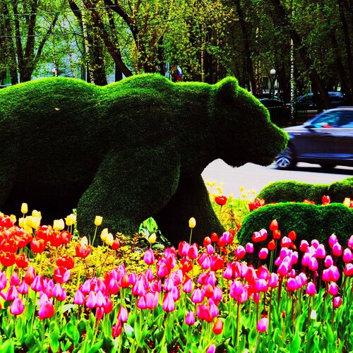 Photo #13906414