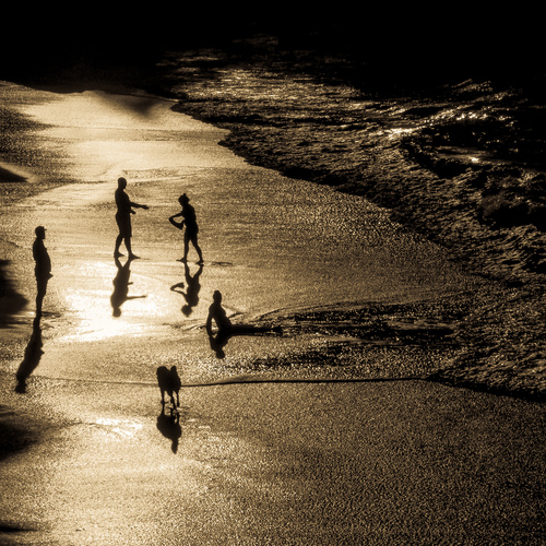 Photo #13906524