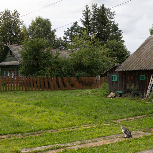 Photo #13906537