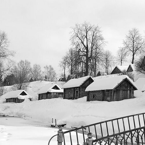 Photo #13906553